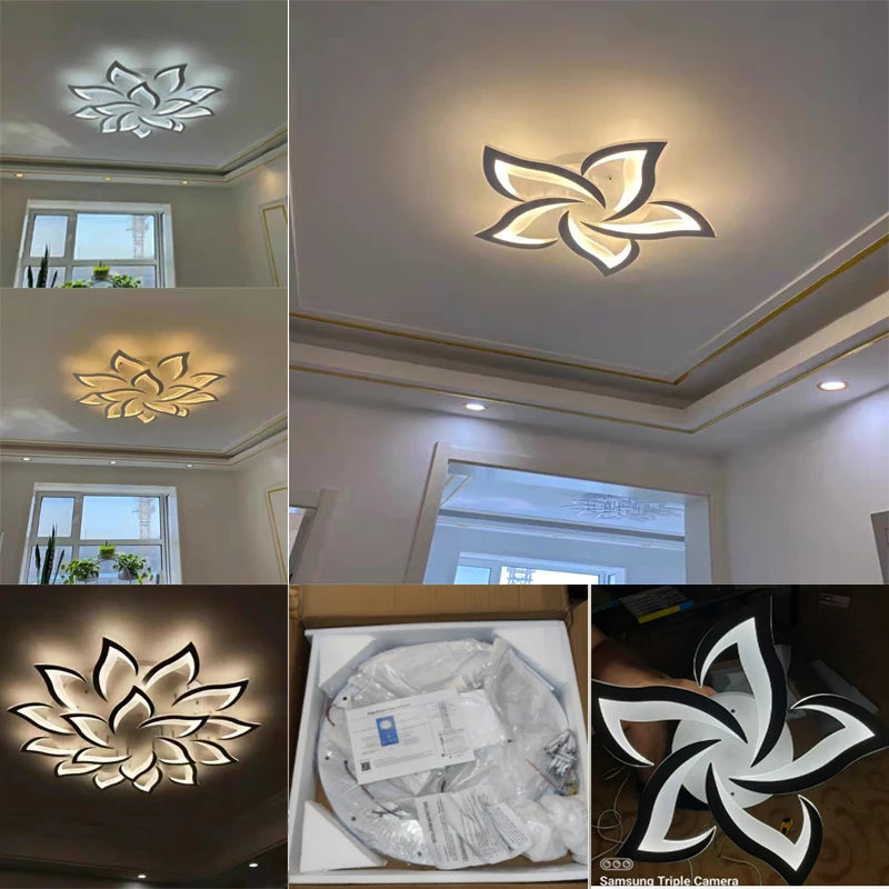 Modern LED living room ceiling light bedroom ceiling lamp dining room chandelier  dimming light hotel interior lighting fixtures