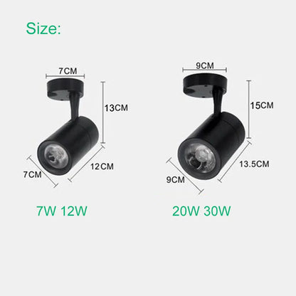 LED COB spotlights can be rotated down mounted downlights 7w 12w 20w 30w LED ceiling light for clothing store showroo AC220V