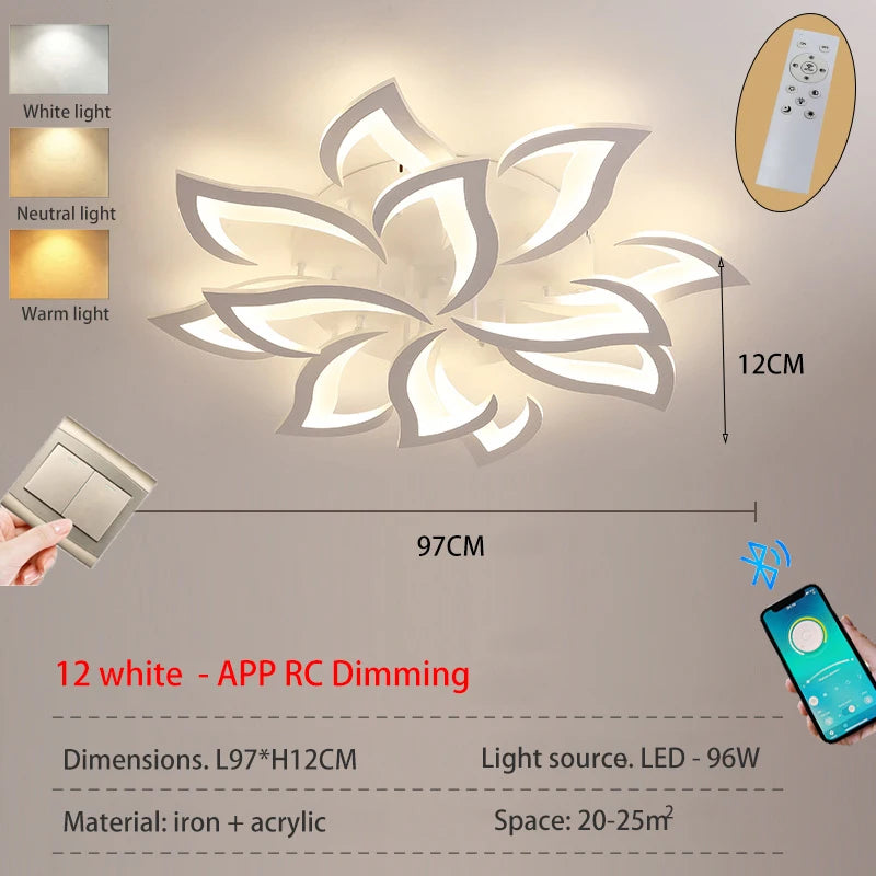 Modern LED living room ceiling light bedroom ceiling lamp dining room chandelier  dimming light hotel interior lighting fixtures