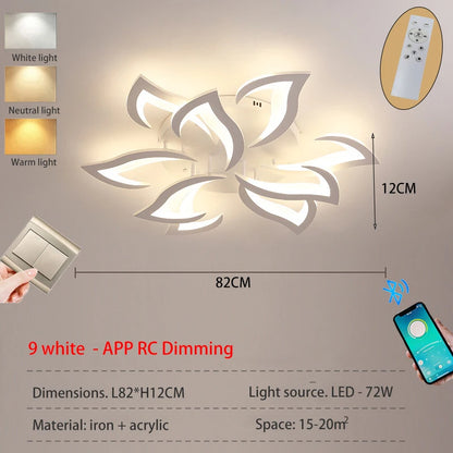 Modern LED living room ceiling light bedroom ceiling lamp dining room chandelier  dimming light hotel interior lighting fixtures