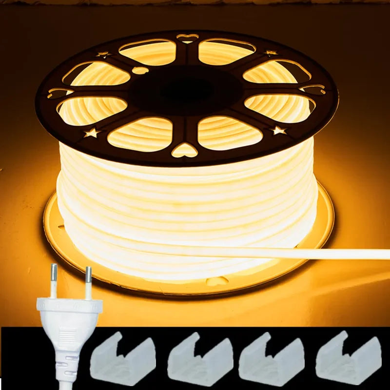 30M 220V COB LED Strip Light RA90 Super Bright 288LEDs/m Flexible Outdoor Lamp IP67 Waterproof LED Strip With 220V EU Power Plug