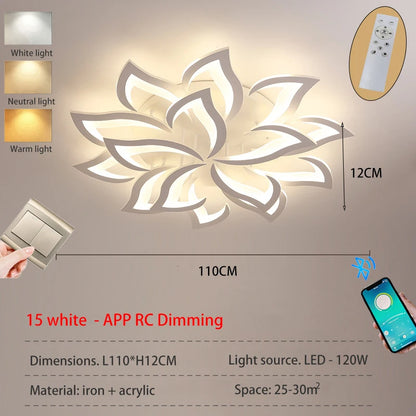 Modern LED living room ceiling light bedroom ceiling lamp dining room chandelier  dimming light hotel interior lighting fixtures